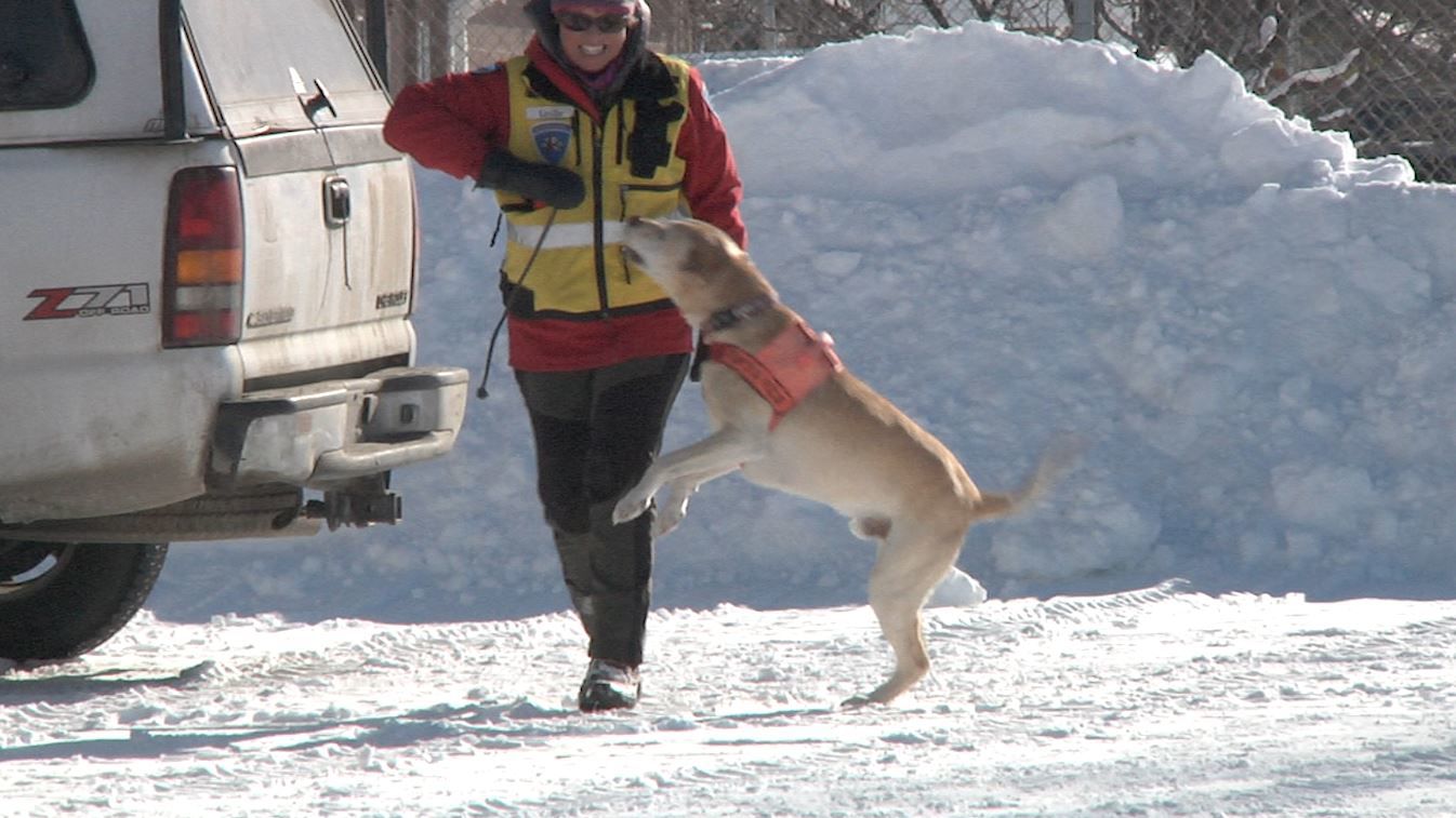 Gallatin SAR dogs with trainer